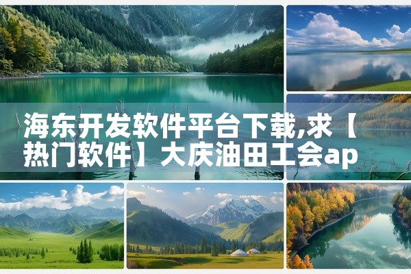 海东开发软件平台下载
