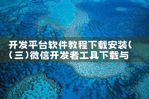 开发平台软件教程下载安装