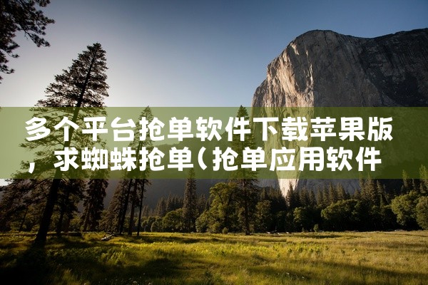 多个平台抢单软件下载苹果版