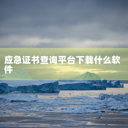 登陆官方网站查询 您可以登陆中华人民共和国应急管理部“特种作业操作证及安全生产知识和管理能力考核合格信息查询平台”（https://cx.mem.gov.cn/）。在该平台上，您可以通过输入相关的查询|