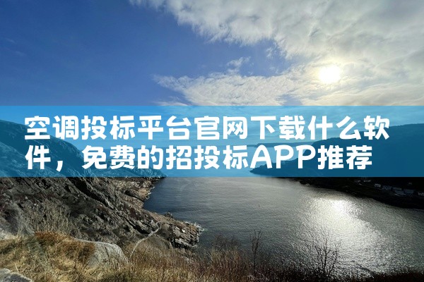 空调投标平台官网下载什么软件