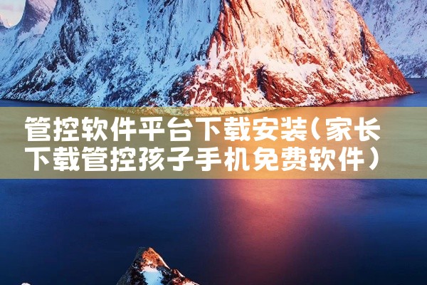 管控软件平台下载安装