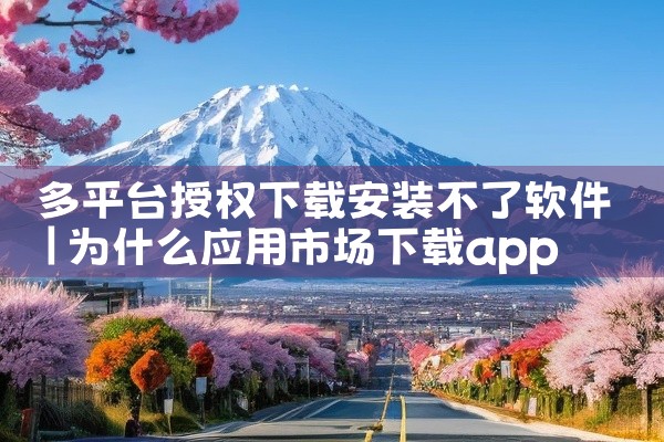 多平台授权下载安装不了软件