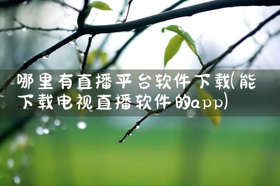 哪里有直播平台软件下载