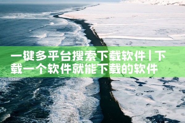一键多平台搜索下载软件