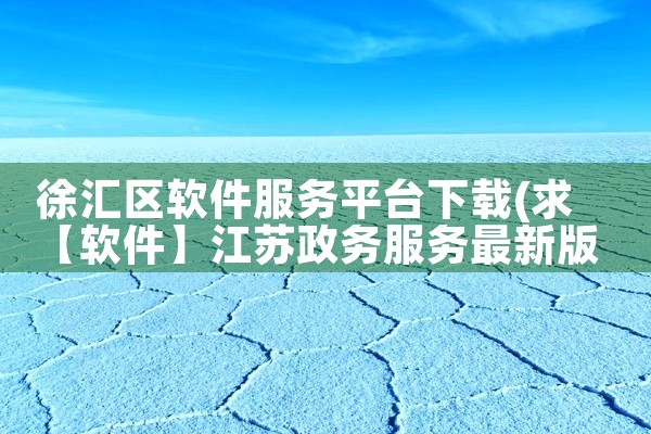 徐汇区软件服务平台下载