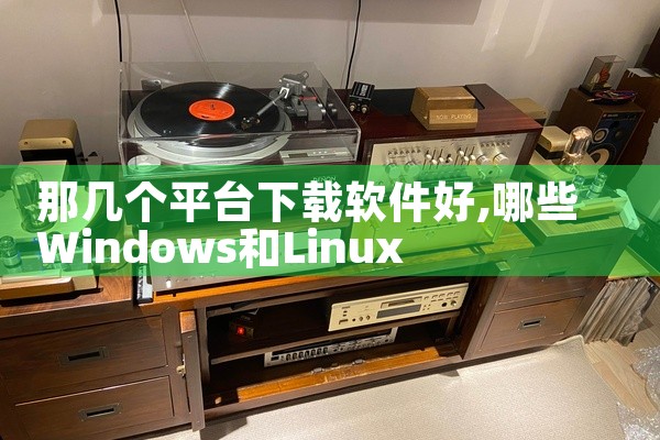 那几个平台下载软件好