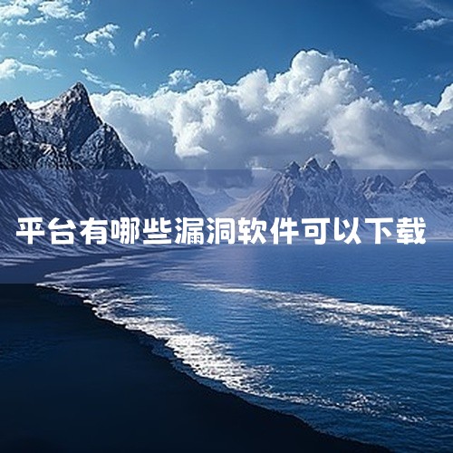 Burp Suite：一款集成化的Web应用安全测试平台，提供了代理、爬虫、入侵者等多种工具，用于发现Web应用中的安全漏洞。Ladon：网址：https://github.com/k8gege/La|