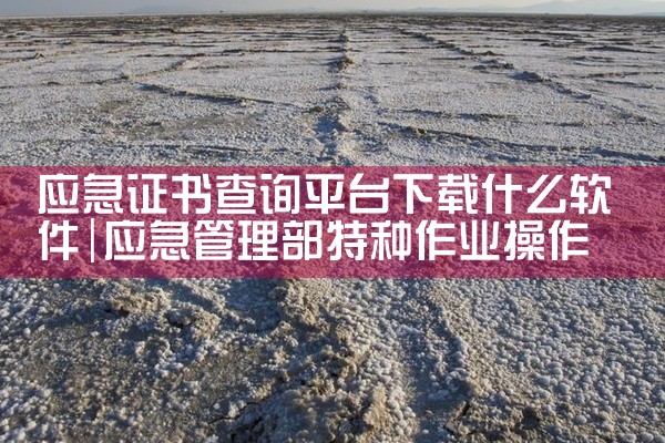平台有哪些漏洞软件可以下载